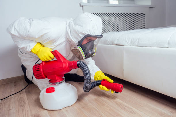 Professional Pest Control in Little Cypress, TX